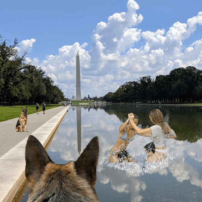 White House Dogs Dispatched To Get Eyes On Chicken Fighters In Reflecting Pool